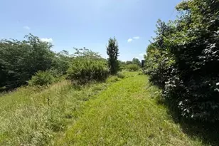 5399 Rosedale-Milford Center Rd, London, OH 43140 - Photo 25