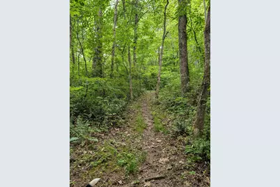 19479 Bogg Road, Laurelville, OH 43135 - Photo 67