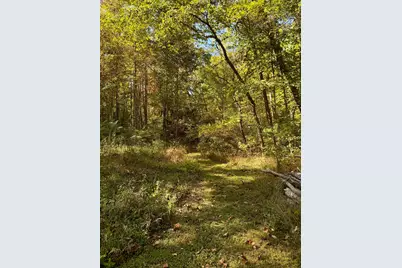19479 Bogg Road, Laurelville, OH 43135 - Photo 25