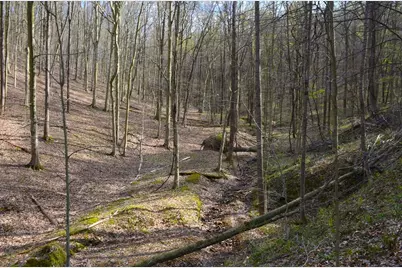 19479 Bogg Road, Laurelville, OH 43135 - Photo 23