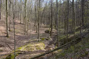 19479 Bogg Rd, Laurelville, OH 43135 - Photo 23