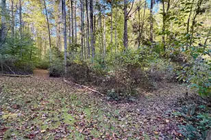 19479 Bogg Rd, Laurelville, OH 43135 - Photo 71