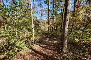 19479 Bogg Rd, Laurelville, OH 43135 - Photo 27