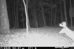 33509 Clipner Rd, Londonderry, OH 45647 - Photo 35