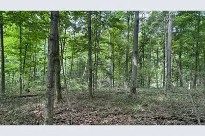 0 US Rt 250, Ashland, OH 44805 - Photo 5