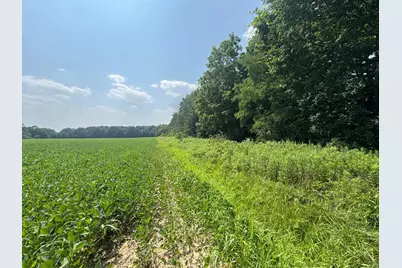 0 US Rt 250, Ashland, OH 44805 - Photo 13