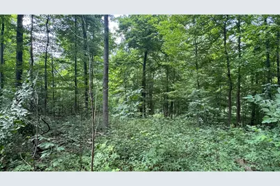 0 US Rt 250, Ashland, OH 44805 - Photo 23