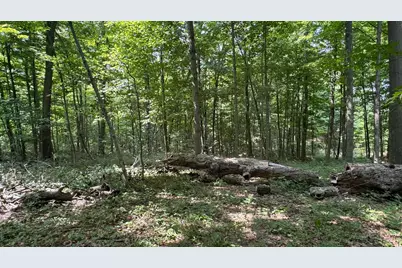 0 US Rt 250, Ashland, OH 44805 - Photo 7
