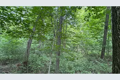0 US Rt 250, Ashland, OH 44805 - Photo 17