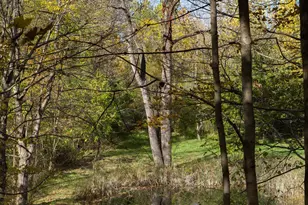 14675 Palmer Rd SW, Etna, OH 43068 - Photo 45