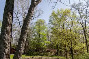 14675 Palmer Rd SW, Etna, OH 43068 - Photo 41
