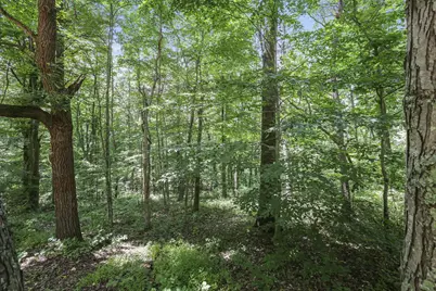 19475 Linden Lane, Logan, OH 43138 - Photo 77