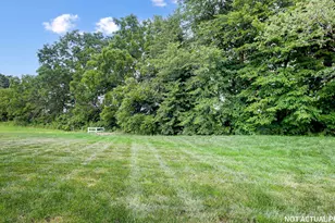 459 Samantha Dr, Plain City, OH 43064 - Photo 39