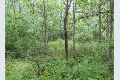 9730 Butcher Road, Mount Vernon, OH 43050 - Photo 5