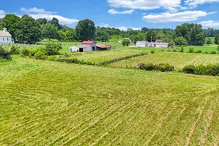 9029 Drums Bottom Rd NE, Thornville, OH 43076 - Photo 65