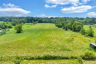 9029 Drums Bottom Rd NE, Thornville, OH 43076 - Photo 47