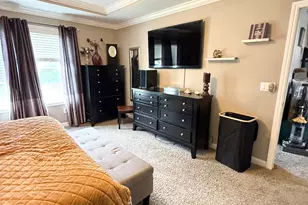 317 McElhinny Ln, Lewis Center, OH 43035 - Photo 21