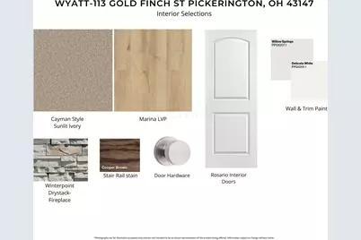 113 Gold Finch Street, Pickerington, OH 43147 - Photo 3