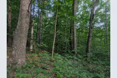 5055 Tract C Early Ridge, McConnelsville, OH 43756 - Photo 13