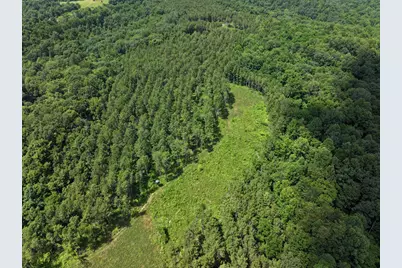 0 Tract D E. Reinersville Road, McConnelsville, OH 43756 - Photo 5