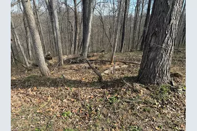23972 Brown Road #Lot 1, South Bloomingville, OH 43152 - Photo 7