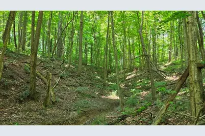 0 Dennis Lane #(Tract 2 at Muskingum Woods), Zanesville, OH 43701 - Photo 15