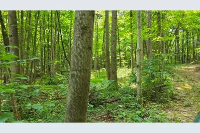 0 Dennis Lane #(Tract 2 at Muskingum Woods), Zanesville, OH 43701 - Photo 13