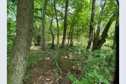 6331 Sherman Road, Galena, OH 43021 - Photo 17