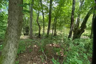 6331 Sherman Rd, Galena, OH 43021 - Photo 17