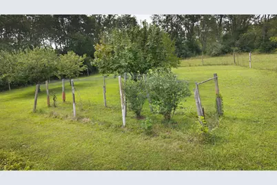 29655 Brush Run Road, Howard, OH 43028 - Photo 35