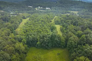 29655 Brush Run Rd, Howard, OH 43028 - Photo 41