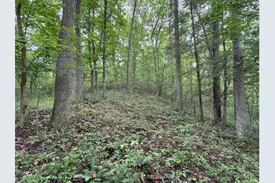 165 Swift Creek Road, Beaver, OH 45613 - Photo 15