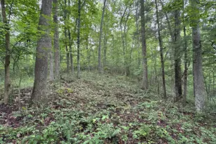 165 Swift Creek Rd, Beaver, OH 45613 - Photo 15