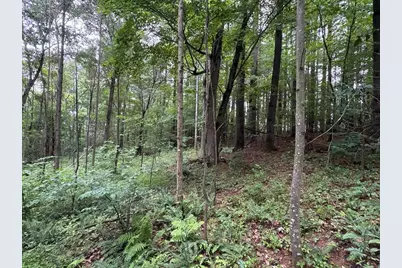 165 Swift Creek Road, Beaver, OH 45613 - Photo 25