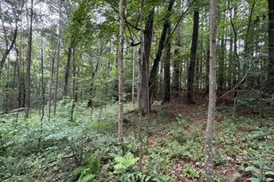 165 Swift Creek Rd, Beaver, OH 45613 - Photo 25