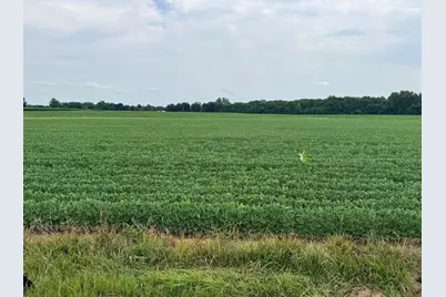 15603 State Route 47, Richwood, OH 43344 - Photo 5