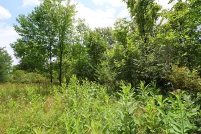 0 Lantz Road, Mansfield, OH 44906 - Photo 9