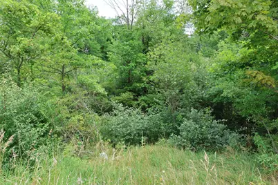 0 Lantz Road, Mansfield, OH 44906 - Photo 5