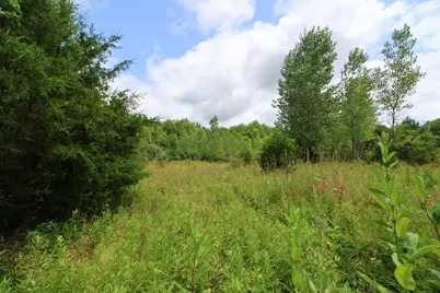 0 Lantz Road, Mansfield, OH 44906 - Photo 7