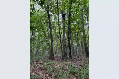 0 Township Road 532, Oak Hill, OH 45656 - Photo 15