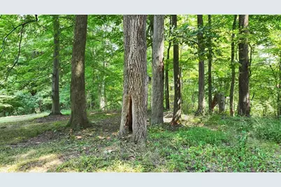1286 Bentwood Court, Mansfield, OH 44903 - Photo 27
