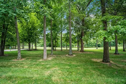 8220 Julian Drive, Westerville, OH 43082 - Photo 3