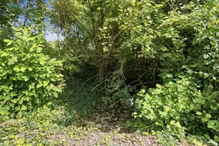 10725 Thrailkill Rd, Orient, OH 43146 - Photo 69