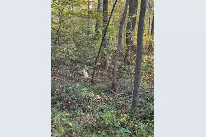 9600 Larimer Road, Logan, OH 43138 - Photo 53