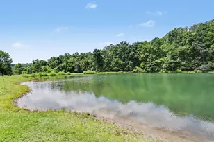 14214 Long Run Rd, Laurelville, OH 43135 - Photo 39