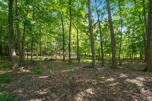 423 Slate Crossing Dr, Delaware, OH 43015 - Photo 51