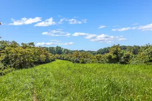 34130 Burney Hollow Rd, Rutland, OH 45775 - Photo 91