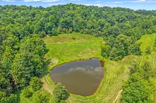 34130 Burney Hollow Rd, Rutland, OH 45775 - Photo 55