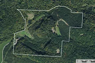 34130 Burney Hollow Rd, Rutland, OH 45775 - Photo 7