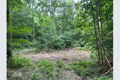 0 Staats Road, Howard, OH 43028 - Photo 5